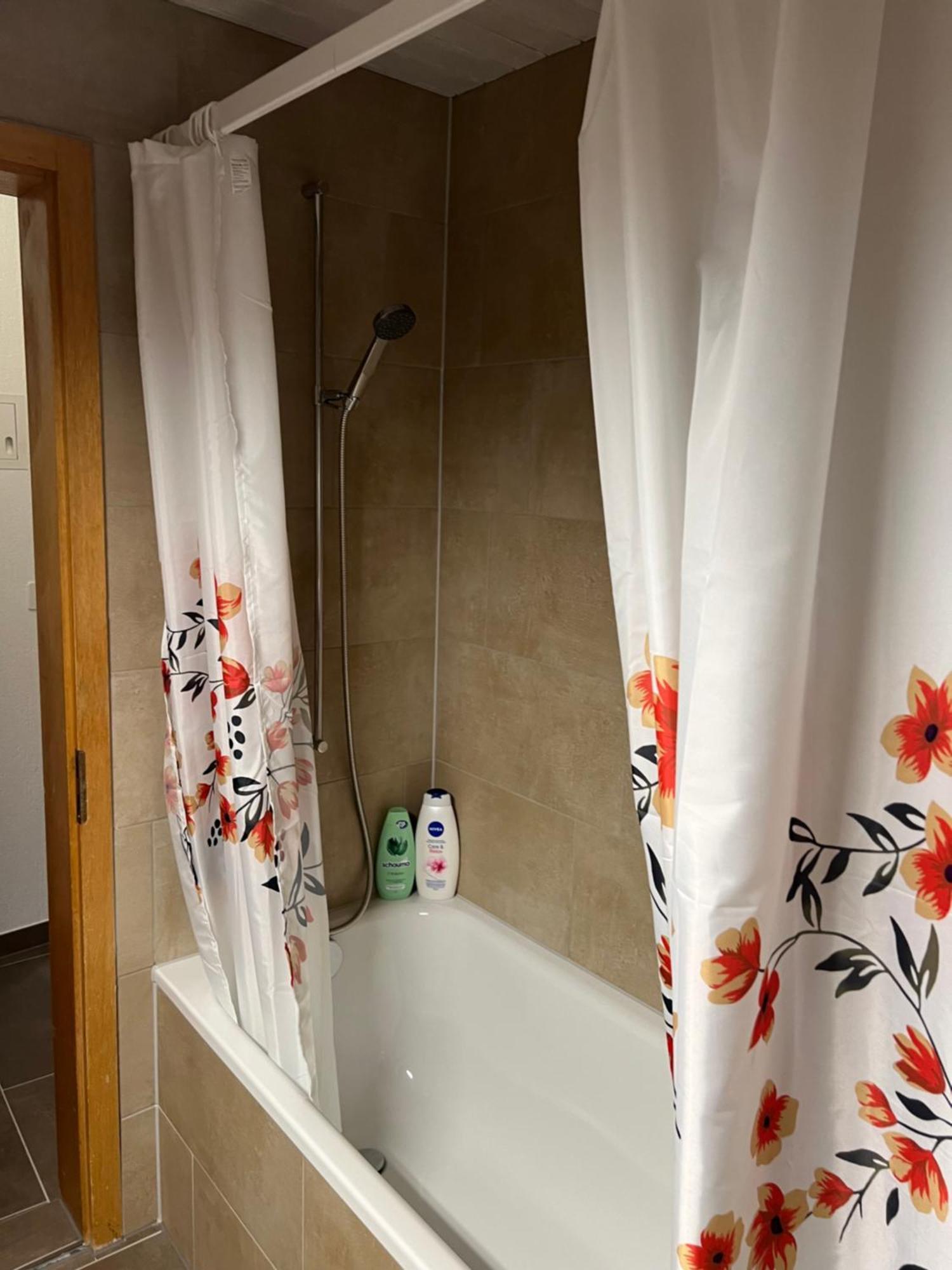 Apartament Rosy Interlaken Eksteriør billede