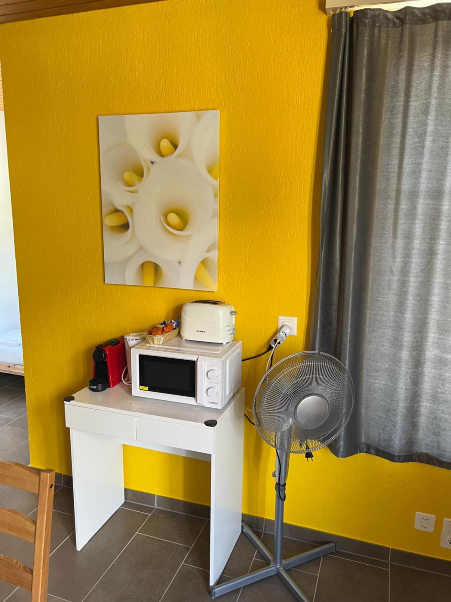 Apartament Rosy Interlaken Eksteriør billede